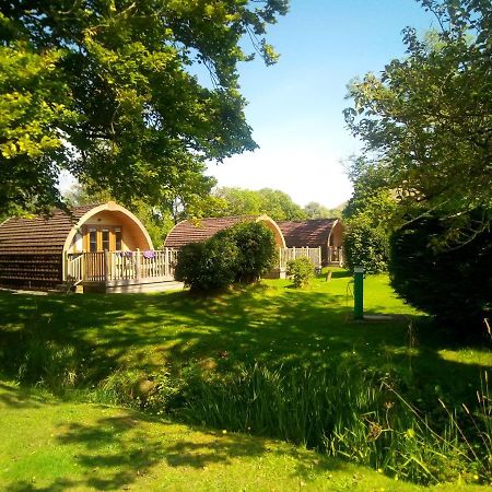 Fintry Campsie Glen Holiday Park מראה חיצוני תמונה