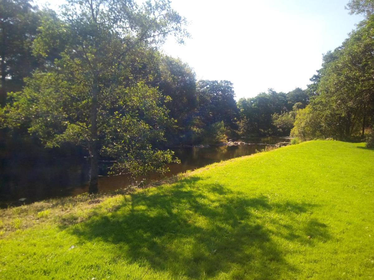 Fintry Campsie Glen Holiday Park מראה חיצוני תמונה