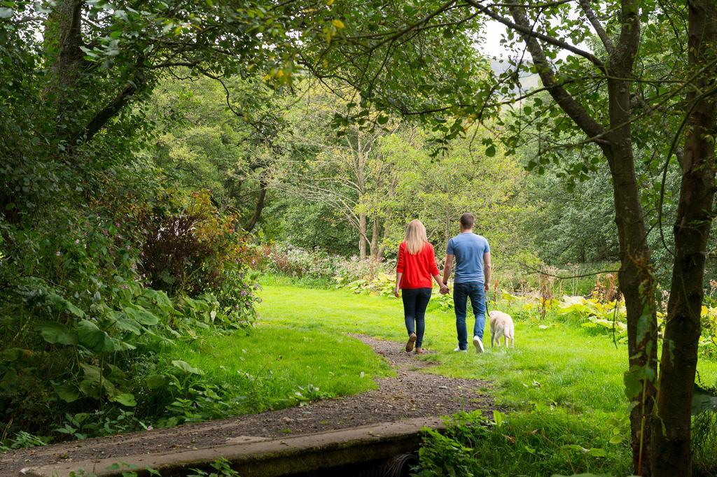 Fintry Campsie Glen Holiday Park מראה חיצוני תמונה