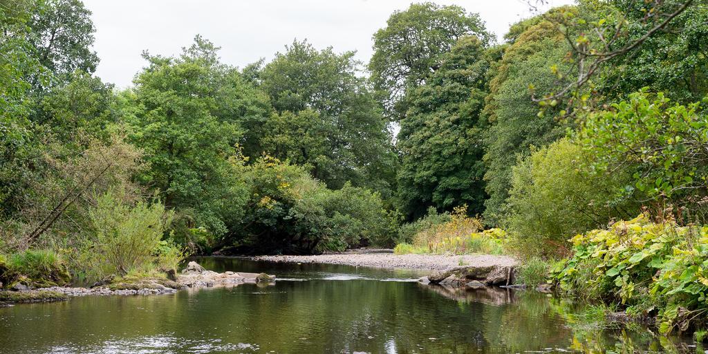 Fintry Campsie Glen Holiday Park מראה חיצוני תמונה
